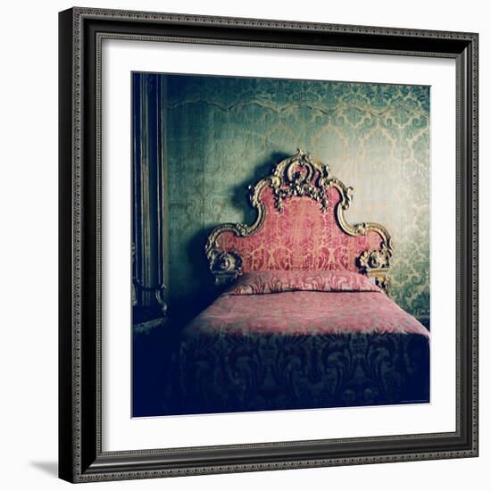 Upon Empire Roots-Lauren Bentley-Framed Photographic Print