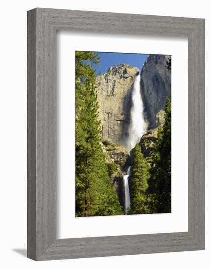 Upper and Lower Yosemite Falls, Merced River, Yosemite NP, California-Michel Hersen-Framed Photographic Print