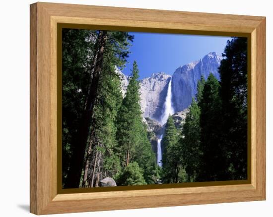 Upper and Lower Yosemite Falls, Swollen by Summer Snowmelt, Yosemite National Park, California-Ruth Tomlinson-Framed Premier Image Canvas