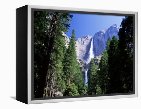 Upper and Lower Yosemite Falls, Swollen by Summer Snowmelt, Yosemite National Park, California-Ruth Tomlinson-Framed Premier Image Canvas