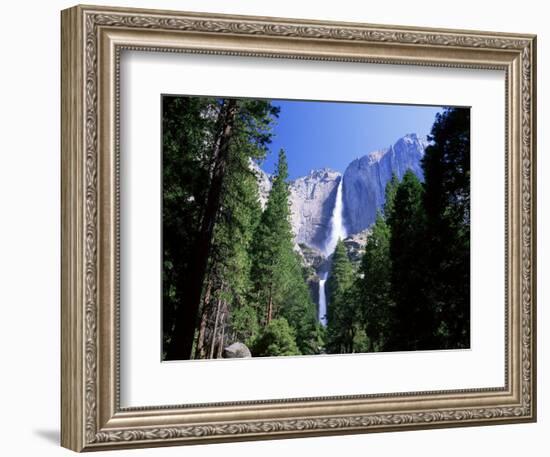 Upper and Lower Yosemite Falls, Swollen by Summer Snowmelt, Yosemite National Park, California-Ruth Tomlinson-Framed Photographic Print