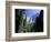 Upper and Lower Yosemite Falls, Swollen by Summer Snowmelt, Yosemite National Park, California-Ruth Tomlinson-Framed Photographic Print