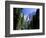 Upper and Lower Yosemite Falls, Swollen by Summer Snowmelt, Yosemite National Park, California-Ruth Tomlinson-Framed Photographic Print