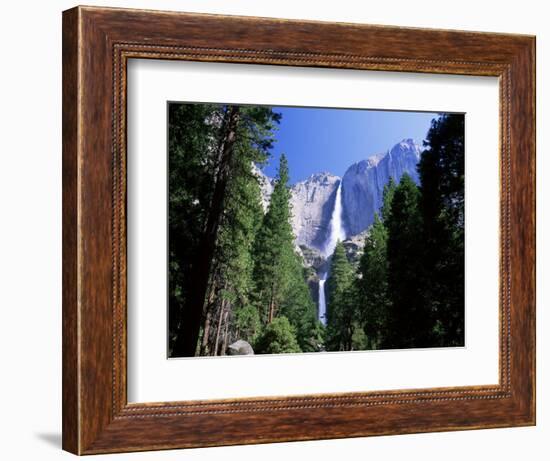 Upper and Lower Yosemite Falls, Swollen by Summer Snowmelt, Yosemite National Park, California-Ruth Tomlinson-Framed Photographic Print