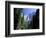 Upper and Lower Yosemite Falls, Swollen by Summer Snowmelt, Yosemite National Park, California-Ruth Tomlinson-Framed Photographic Print