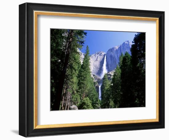 Upper and Lower Yosemite Falls, Swollen by Summer Snowmelt, Yosemite National Park, California-Ruth Tomlinson-Framed Photographic Print