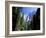 Upper and Lower Yosemite Falls, Swollen by Summer Snowmelt, Yosemite National Park, California-Ruth Tomlinson-Framed Photographic Print