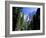 Upper and Lower Yosemite Falls, Swollen by Summer Snowmelt, Yosemite National Park, California-Ruth Tomlinson-Framed Photographic Print