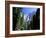 Upper and Lower Yosemite Falls, Swollen by Summer Snowmelt, Yosemite National Park, California-Ruth Tomlinson-Framed Photographic Print