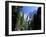 Upper and Lower Yosemite Falls, Swollen by Summer Snowmelt, Yosemite National Park, California-Ruth Tomlinson-Framed Photographic Print