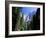 Upper and Lower Yosemite Falls, Swollen by Summer Snowmelt, Yosemite National Park, California-Ruth Tomlinson-Framed Photographic Print