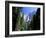 Upper and Lower Yosemite Falls, Swollen by Summer Snowmelt, Yosemite National Park, California-Ruth Tomlinson-Framed Photographic Print