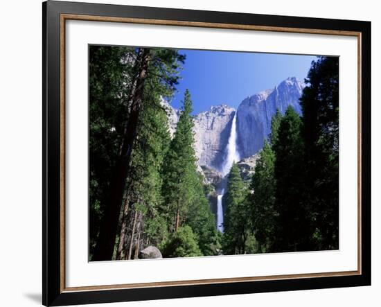 Upper and Lower Yosemite Falls, Swollen by Summer Snowmelt, Yosemite National Park, California-Ruth Tomlinson-Framed Photographic Print