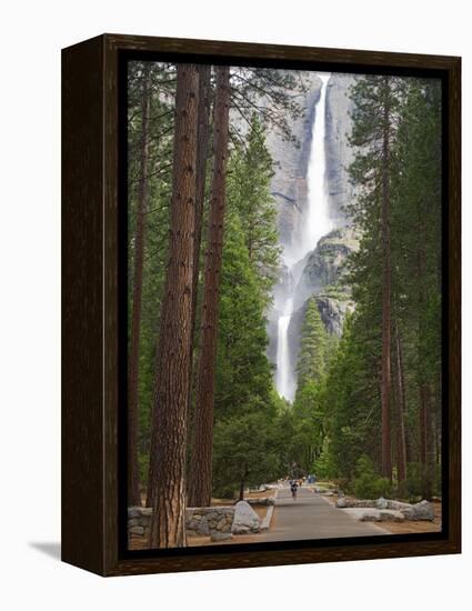 Upper and Lower Yosemite Falls. Yosemite National Park, CA-Jamie & Judy Wild-Framed Premier Image Canvas