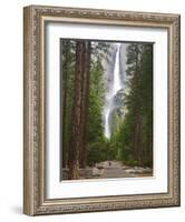 Upper and Lower Yosemite Falls. Yosemite National Park, CA-Jamie & Judy Wild-Framed Photographic Print
