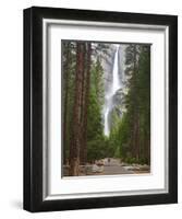 Upper and Lower Yosemite Falls. Yosemite National Park, CA-Jamie & Judy Wild-Framed Photographic Print