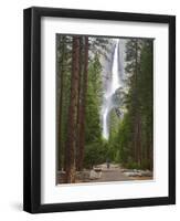 Upper and Lower Yosemite Falls. Yosemite National Park, CA-Jamie & Judy Wild-Framed Photographic Print