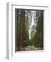 Upper and Lower Yosemite Falls. Yosemite National Park, CA-Jamie & Judy Wild-Framed Photographic Print