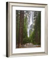 Upper and Lower Yosemite Falls. Yosemite National Park, CA-Jamie & Judy Wild-Framed Photographic Print