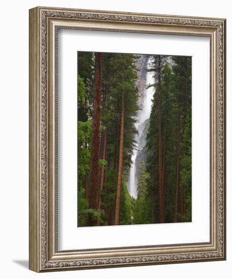 Upper and Lower Yosemite Falls. Yosemite National Park, CA-Jamie & Judy Wild-Framed Photographic Print