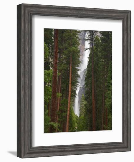 Upper and Lower Yosemite Falls. Yosemite National Park, CA-Jamie & Judy Wild-Framed Photographic Print