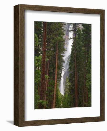 Upper and Lower Yosemite Falls. Yosemite National Park, CA-Jamie & Judy Wild-Framed Photographic Print