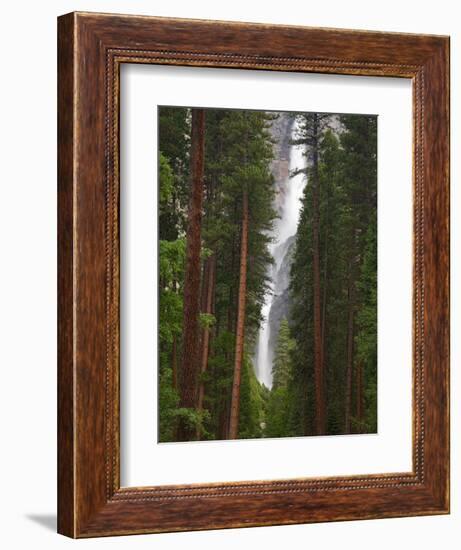 Upper and Lower Yosemite Falls. Yosemite National Park, CA-Jamie & Judy Wild-Framed Photographic Print