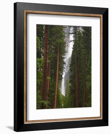 Upper and Lower Yosemite Falls. Yosemite National Park, CA-Jamie & Judy Wild-Framed Photographic Print