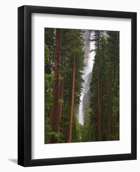 Upper and Lower Yosemite Falls. Yosemite National Park, CA-Jamie & Judy Wild-Framed Photographic Print