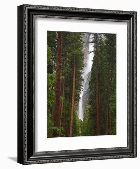 Upper and Lower Yosemite Falls. Yosemite National Park, CA-Jamie & Judy Wild-Framed Photographic Print