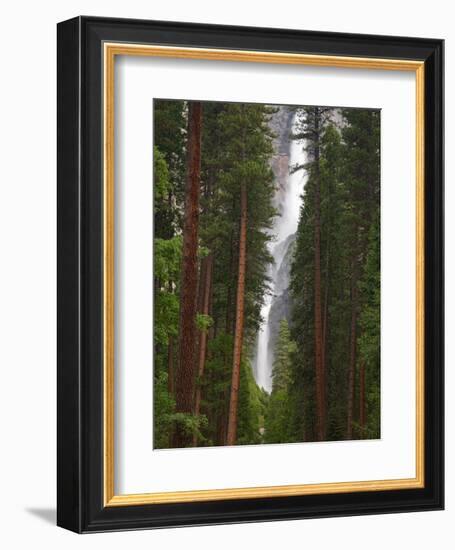 Upper and Lower Yosemite Falls. Yosemite National Park, CA-Jamie & Judy Wild-Framed Photographic Print