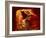 Upper Antelope Canyon, Page, Arizona, USA-Michel Hersen-Framed Photographic Print