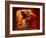 Upper Antelope Canyon, Page, Arizona, USA-Michel Hersen-Framed Photographic Print