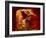 Upper Antelope Canyon, Page, Arizona, USA-Michel Hersen-Framed Photographic Print