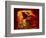 Upper Antelope Canyon, Page, Arizona, USA-Michel Hersen-Framed Photographic Print