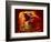 Upper Antelope Canyon, Page, Arizona, USA-Michel Hersen-Framed Photographic Print