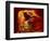 Upper Antelope Canyon, Page, Arizona, USA-Michel Hersen-Framed Photographic Print