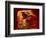 Upper Antelope Canyon, Page, Arizona, USA-Michel Hersen-Framed Photographic Print