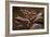 Upper Antelope IV-Larry Malvin-Framed Photographic Print