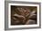 Upper Antelope IV-Larry Malvin-Framed Photographic Print