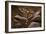 Upper Antelope IV-Larry Malvin-Framed Photographic Print