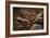 Upper Antelope IV-Larry Malvin-Framed Photographic Print