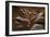 Upper Antelope IV-Larry Malvin-Framed Photographic Print