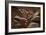 Upper Antelope IV-Larry Malvin-Framed Photographic Print