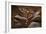 Upper Antelope IV-Larry Malvin-Framed Photographic Print