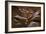 Upper Antelope IV-Larry Malvin-Framed Photographic Print