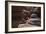 Upper Antelope V-Larry Malvin-Framed Photographic Print