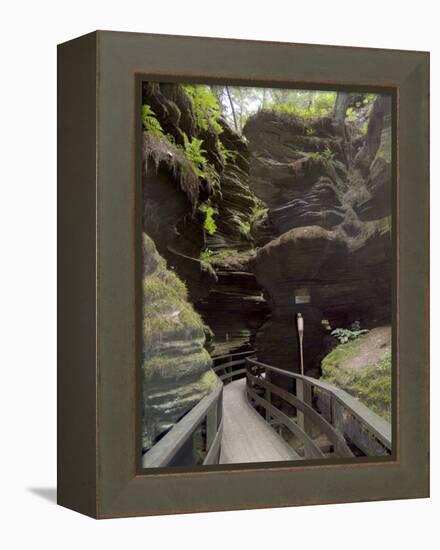 Upper Dells, Wisconsin Dells, Wisconsin, USA-Ethel Davies-Framed Premier Image Canvas