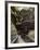 Upper Dells, Wisconsin Dells, Wisconsin, USA-Ethel Davies-Framed Photographic Print