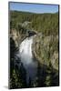 Upper Falls, Yellowstone National Park, Wyoming, United States of America, North America-Michael DeFreitas-Mounted Photographic Print